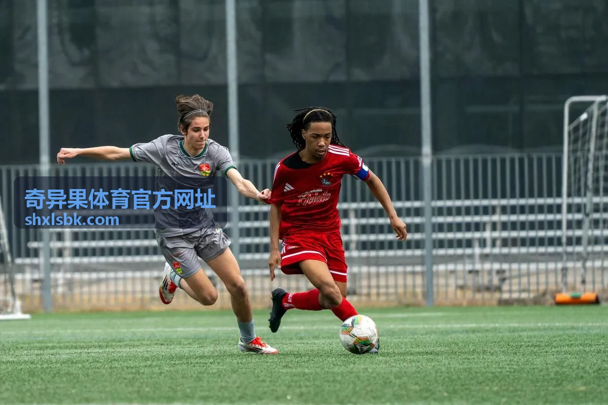 奇异果体育官方网址数据统计界面