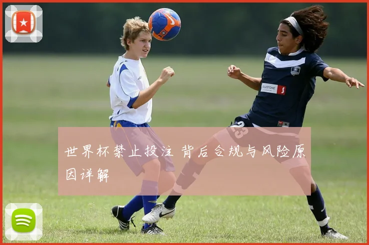 世界杯禁止投注 背后合规与风险原因详解