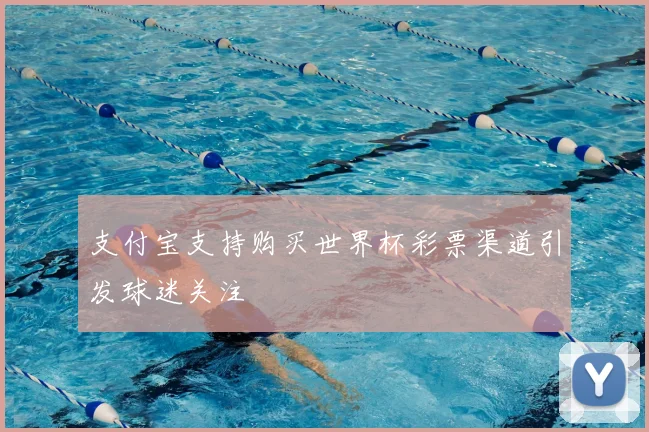 支付宝支持购买世界杯彩票渠道引发球迷关注