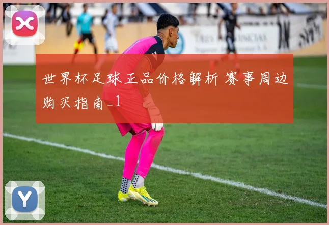 世界杯足球正品价格解析 赛事周边购买指南_1