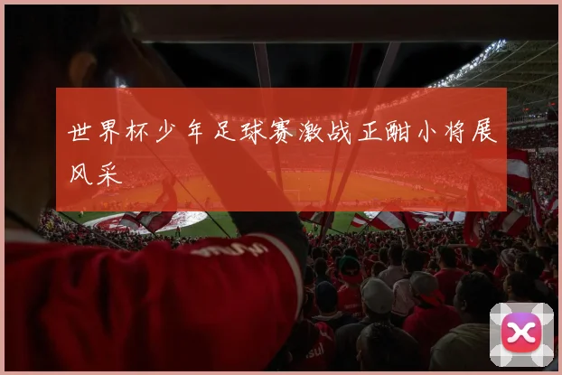 世界杯少年足球赛激战正酣小将展风采