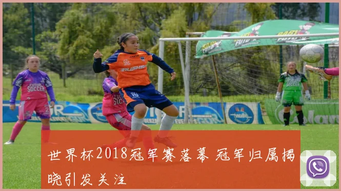 世界杯2018冠军赛落幕 冠军归属揭晓引发关注