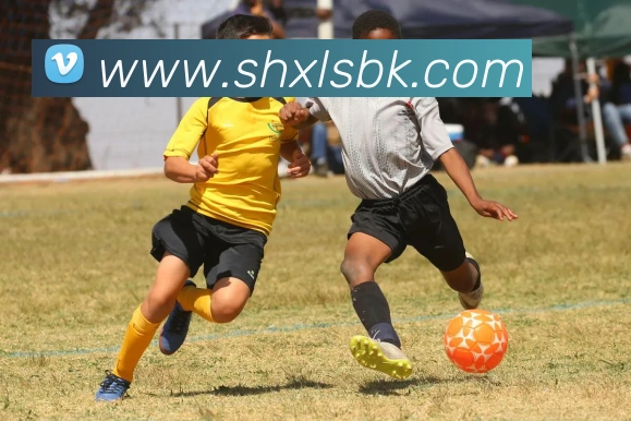 世界杯官网登录appAPP 封面图